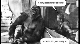 Wywiad trener Tomek