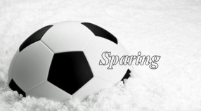 Sparing z Szufnarową