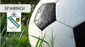 Sparingi, Zima 2015! Aktualizacja 02.03.2015.- Wyniki.