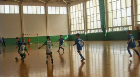 U-8 | Zdjęcia: Windoor Cup