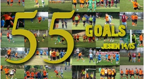 PerłaTV: ALL 55 GOALS | JESIEŃ | SEZON 2014/15 (WIDEO)