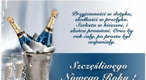 SZCZĘŚLIWEGO NOWEGO ROKU 2015